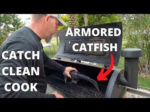How to cook armored catfish (Pleco)