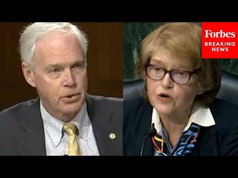 Ron Johnson Confronts Witness Who Called Him A White Nationalist