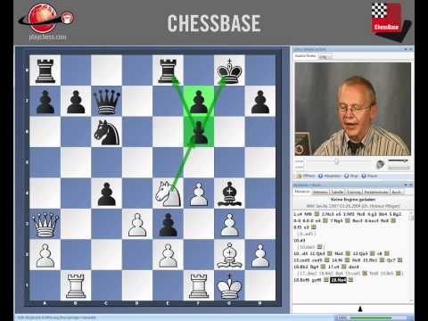 Helmut Pfleger - Die schönsten Partien der Schachgeschichte Band 2 - Kasparov vs. Karpov