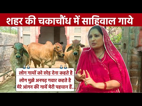 आंगन में रहती है साहीवाल गाय! || ऐसा गौ प्रेम नहीं देखा होगा 🙏