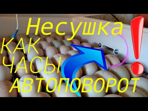 НЕСУШКА БИ-2 АВТОПОВОРОТ ЯИЦ НЕ РАБОТАЕТ ПРАВИЛЬНО! РЕШЕНИЕ ЕСТЬ!