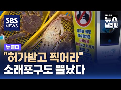 "허가받고 찍어라" 안내문…경고 나선 소래포구 / SBS / 뉴블더