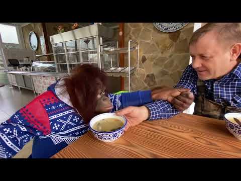 ТАКОЕ РЕДКО УВИДИШЬ! Олег Зубков кормит Дану супом ! Как интересно она ест !