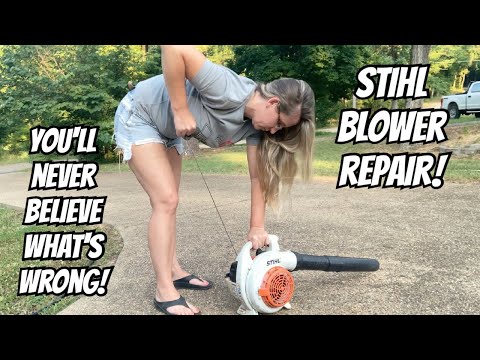 Stihl Blower's gas disappeared! Pull rope won't work? This small engine has issues! Repair/Vlog