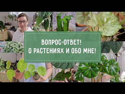 ВОПРОСЫ-ОТВЕТЫ! Обо Мне и о РАСТЕНИЯХ!
