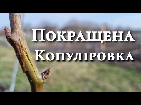 Перепрививка дерев весною. Покращена копуліровка.