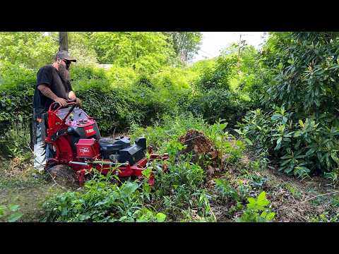 When he told me “It’s Been Like This for Years” – I Had No Idea What I Was In For