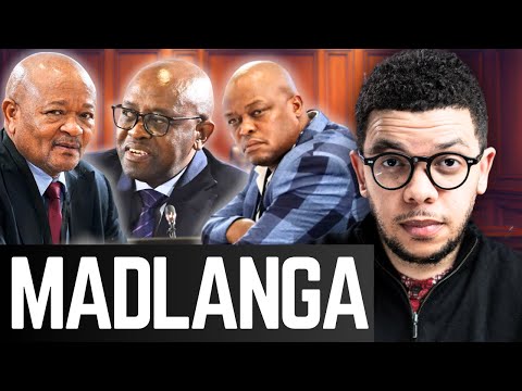 Madlanga Wrapped 2025 | Mkhwanazi, Mogotsi, Mchunu, Mashazi, Khumalo, Witness D, Chaskalson, Sello