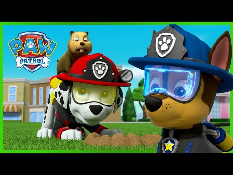 《汪汪队立大功》之终极救援,团队作战!- PAW Patrol 汪汪隊立大功 - 兒童卡通