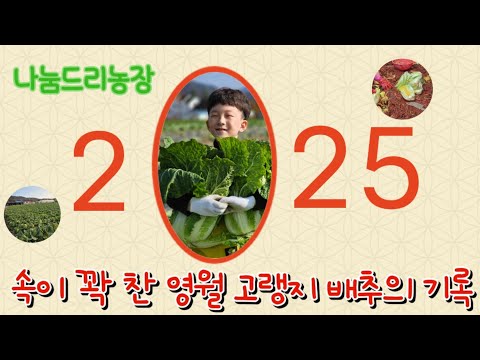 믿고 먹는 나눔드리농장, 깨끗한 절임배추는 이렇게 만들어집니다