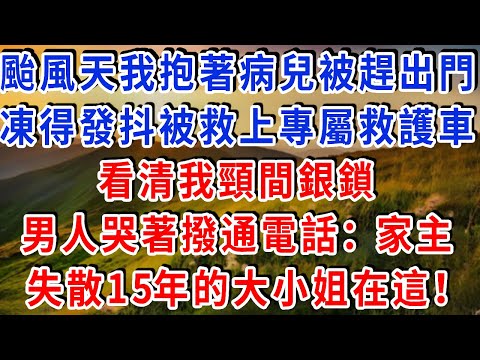 颱風天我抱著病兒被趕出門，凍得發抖被救上專屬救護車，看清我頸間銀鎖，男人哭著撥通電話：家主，失散15年的大小姐在這！#雅婷講故事#為人處世#生活經驗#情感故事#晚年哲理#說故事#完結文#出軌
