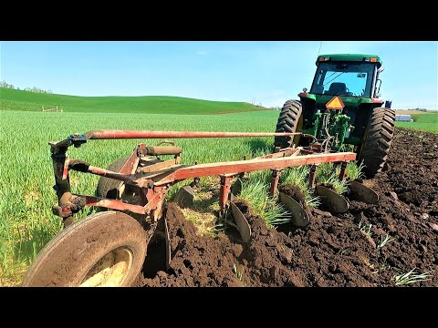 Moldboard Plowing Just Like the Good Old Days!