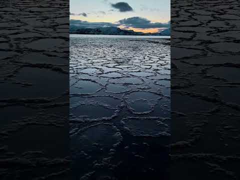 Ice pancakes are formed when the foam floating on the water’s surface freezes 🧊 #Shorts #Science