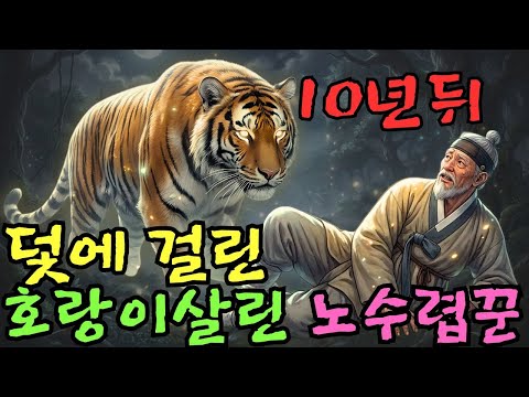 👌잠자기전 듣는 옛날이야기 1시|덫에 걸린 호랑이를 살려준 노수렵꾼… 10년 뒤 숲속에서 위기에 처하자 거대한 그림자가 나타났다ㅣ옛날이야기 ㅣ민담 ㅣ오디오북ㅣ전설ㅣ설화 ㅣ야담