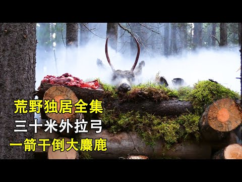 一口气看完荒野独居第八集全集,狩猎鹿神选手出现,三十米一箭干倒驼鹿,搭建巨型烤肉架,纪录片 Survive alone in the wild and win $500,000