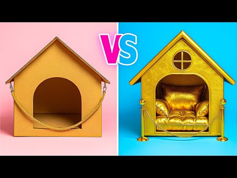 Geheime Tierzimmer! 🐾 1$ vs 1.000$ vs 10.000$ Tierheim-Umgestaltung