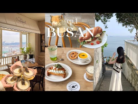 韓國釜山Vlog ep.1|海景法式浪漫咖啡廳🇫🇷🧺|白淺灘拍出人生海景照🏝️|釜山也有蜂巢米酒 🐝🍶|韓式創意料理餐酒館🌙|廣安里無人機表演🛰️|釜山Airbnb住宿🛏️|釜山自由行2024