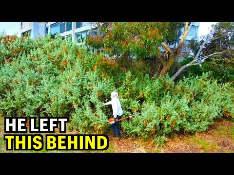 He lived here for 30 years then VANISHED - But what I did left the neighbor IN SHOCK!