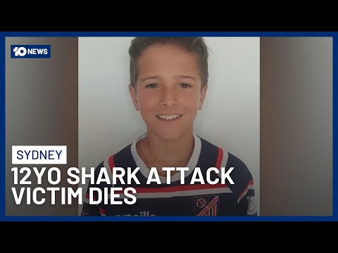 12-Year-Old Boy Dies In Hospital Days After Shark Attack In Sydney | 10 News