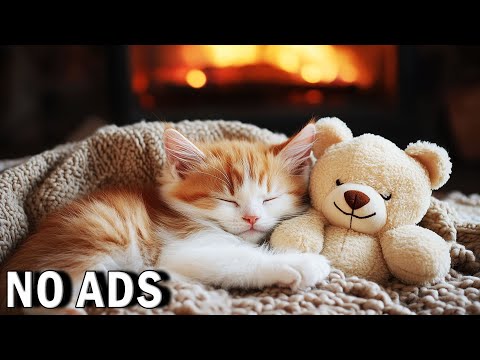 1 Hour of Calming Cat Music for Cats 🎵 Cat Sleep Music - Separation Anxiety Relief Music