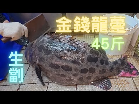 超罕金錢龍躉😍45斤, 極肥豬型❤️牛油煎面豬登🤤fishcutting海鮮~社長遊街市Seafood