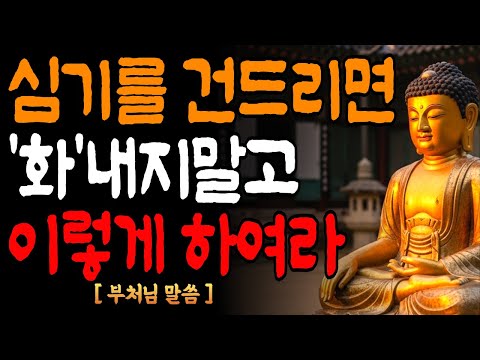 누군가가 심기를 건드리면 분노하지말고 "이렇게"만 하여라 / 분노를 지혜로바꾸는 부처님말씀 / 오디오북