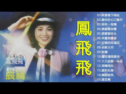 鳳飛飛 Fong Feifei ～30首80年代唱遍大街小巷的歌曲《楓葉情／望春風／四季謠／落花情／往事如昨／另一種鄉愁》本人認為最好聽的台語歌 Best Of Fong Feifei