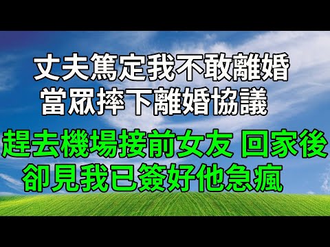 丈夫篤定我不敢離婚，當眾摔下離婚協議，趕去機場接前女友，回家後卻見我已簽好他急瘋！#生活經驗 #人生感悟 #故事分享 #情感故事 #打脸 #正能量