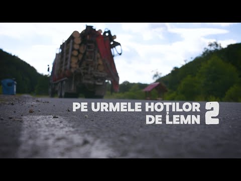 INVESTIGAȚIE RECORDER Pe urmele hoților de lemn II