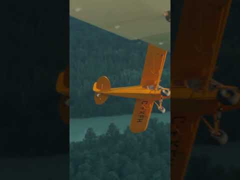 How lucky are we -  short  #friends #flying #j3cub #supercub