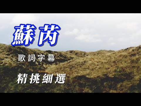 （蘇芮）精挑細選（hope朋友會喜歡謝謝）🏉🏉🏉🏉🏉
