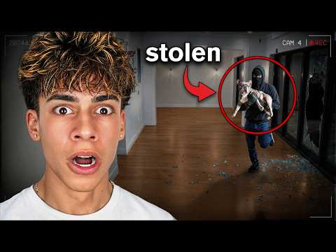 WHO STOLE MY DOG??