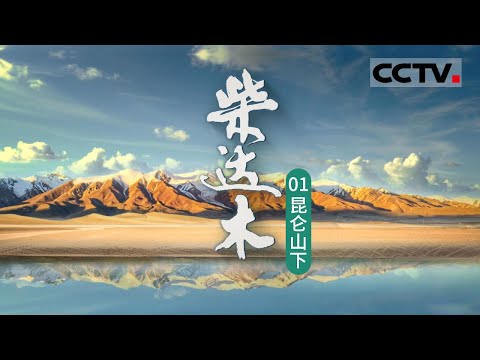 《柴达木》01 昆仑山下：柴达木盆地是如何形成的？2.2亿年前火山岩柱状节理群 见证青藏高原诞生【CCTV纪录】