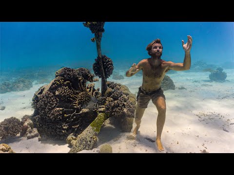 PLANE CRASH SURVIVAL CHALLENGE (Remote Island, No Food, No Water)