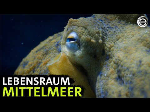 Mysterious Mediterranean | Experience Earth