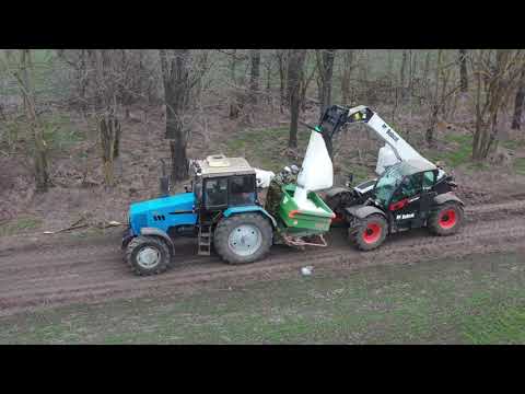 Первая подкормка озимой пшеницы. Оптимальные сроки внесения азотного удобрения.