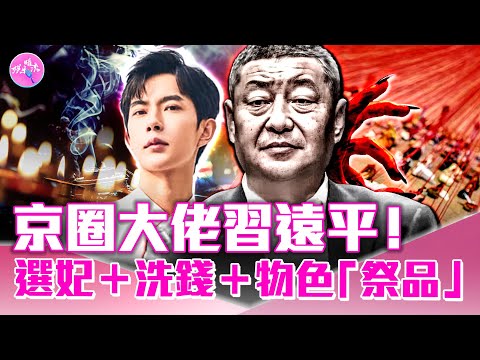 習遠平，讓于朦朧恐怖的「老男人」！798藝術區藏驚天黑幕？展品是受害者遺物？報應扎堆兒來，資本女大佬田海蓉、范世錡等遭抵制，芒果超媒股市暴跌。哪些明星名下註冊了軍火商標？