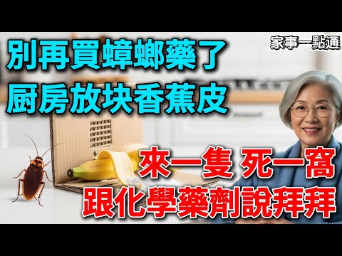 别再用杀虫剂了！王姐教你3个灭蟑妙招，一张香蕉皮让蟑螂“全军覆没”！安全又环保