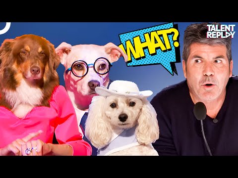 The Most Adorable Dog Auditions of All Time! | Dogs' Got Talent
