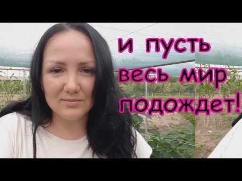 Ежевика Небеса Могут Подождать - замечательный сорт, просто бомба!