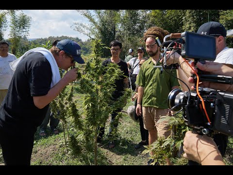 Strain Hunters: Thailand Expedition 2024 - Official Trailer