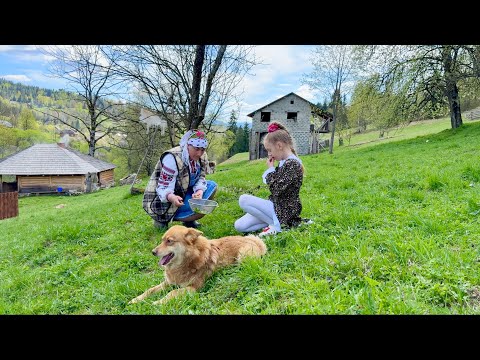 Cozy life in a mountain village in the Carpathians: green borscht, baked chicken legs