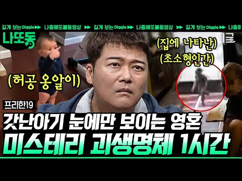 [#프리한19] (60분) 🧚‍♂️집 요정 도비 실존?! 어린 아기의 눈에만 보이는 괴생명체😮 전 세계 신비로운 괴생명체 모음. zip