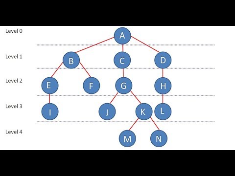 22- شرح مفهوم الـ Tree Data Structure ومصطلحاتها بشكل مبسط