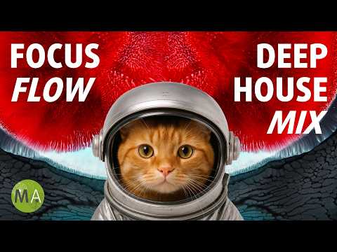 Focus Flow Deep House Mix with Beta Wave Isochronic Tones
