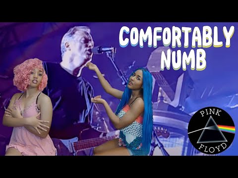 FIRST TIME REACTION TO Pink Floyd - Comfortably Numb - pulse concert performance 1994