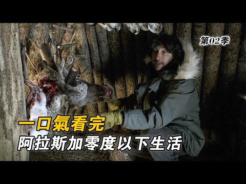 一口氣看完阿拉斯加零度以下的生活，狩獵上千斤頂駝鹿，連續捕獲四隻馴鹿，零下十幾度戶外洗澡，設陷阱抓北極狐！紀錄片