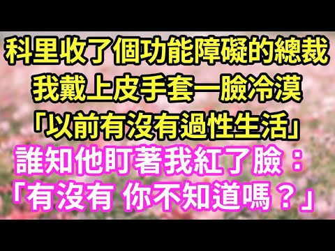 科里收了個功能障礙的總裁我戴上皮手套一臉冷漠「以前有沒有過性生活」誰知他盯著我紅了臉：「有沒有 你不知道嗎？」】#現言#總裁#甜文#故事 #言情#一口氣看完
