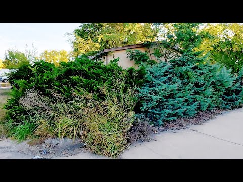 NEIGHBORS SHOCKED They Didn't Recognize The House After We Did This