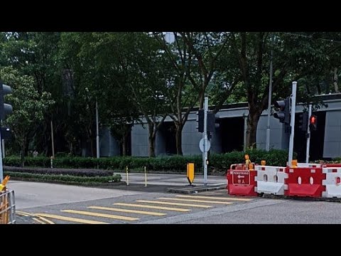 「乜叔 」 09/06/24 中年好聲音2 譚輝智 演唱會後之我見!